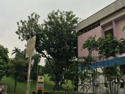 Blk 297 Yishun Street 20 (Yishun), HDB 5 Rooms #124509852